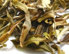 Darjeeling White Tea