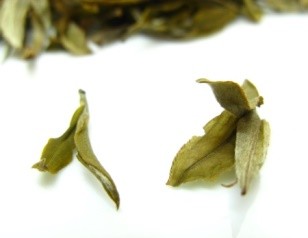 Darjeeling White Tea