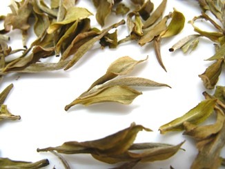 Darjeeling White Tea