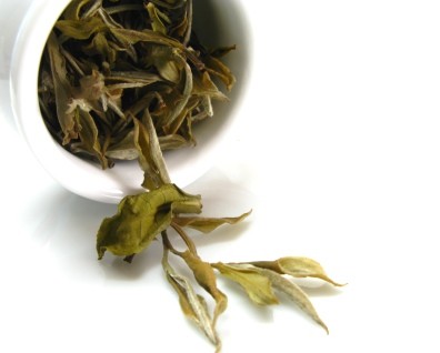 Darjeeling White Tea