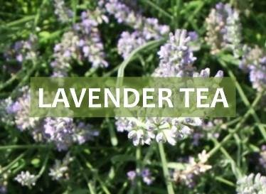 lavender