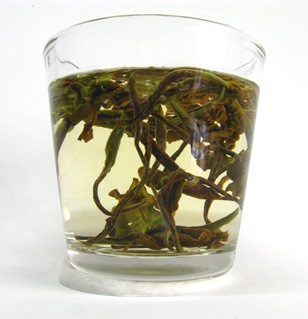 azorean white tea