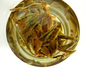 azorean white tea