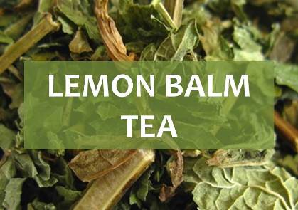 lemon balm tea