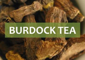 burdock