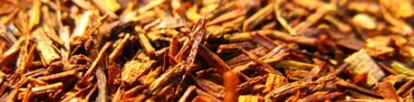 Rooibos tea