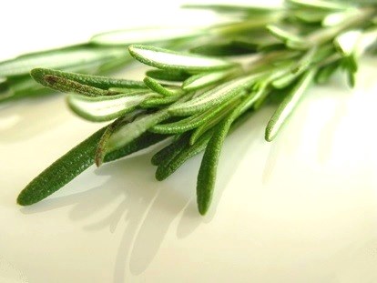 Rosemary