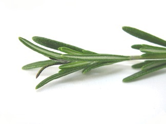 Rosemary