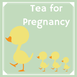 Tea for Pregnancy