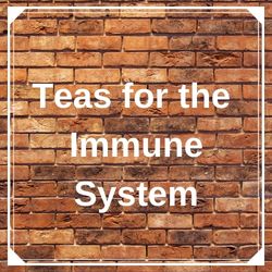 teas for the immune system
