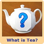 What is Tea?