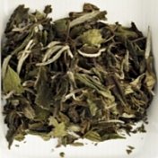 white tea 02