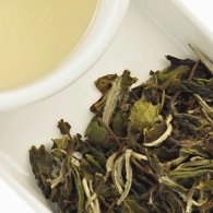 white tea 03