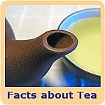 Facts About Tea