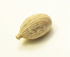 cardamom