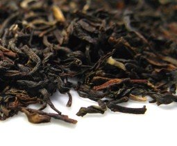 darjeeling black tea