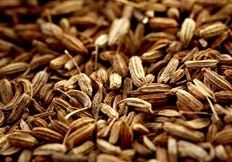 Fennel Seeds