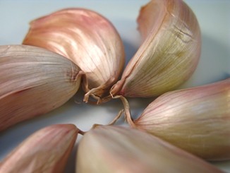 garlic tea