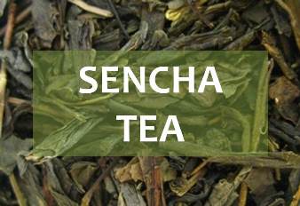 sencha