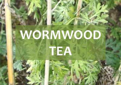 wormwood