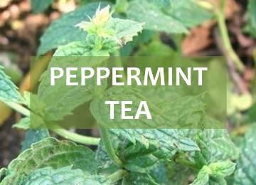 peppermint