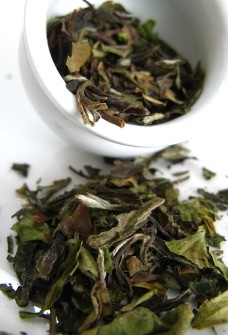 white peony tea 01